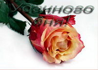 AVON Мои успехи и огорчения в компании.